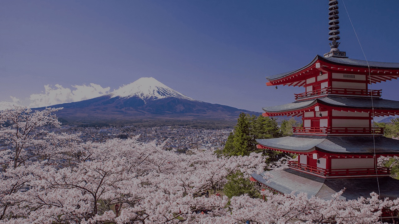 Hogan Advanced Interpretation Certification (English) – Tokyo | November 2027